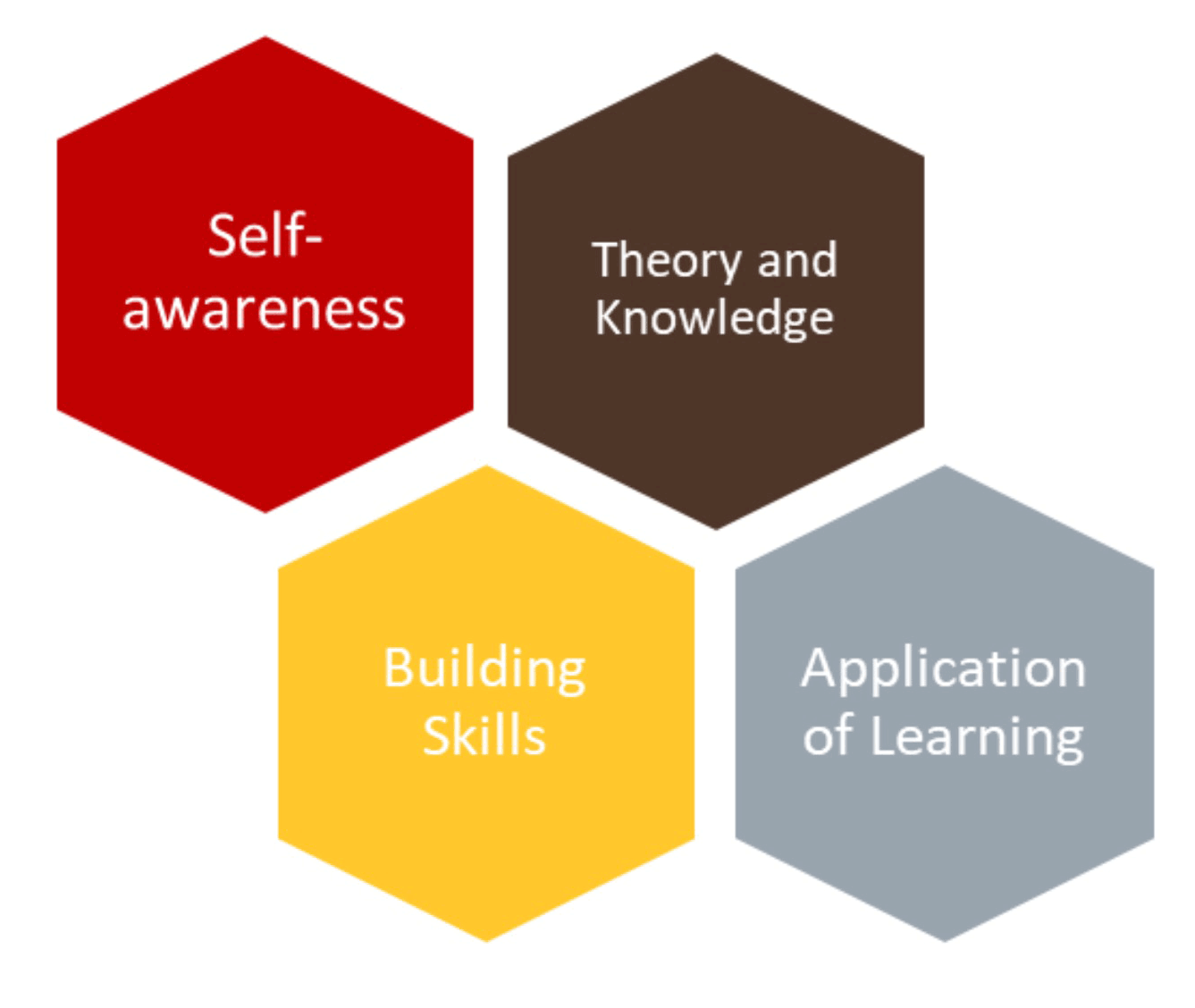 Leadership Development graphic